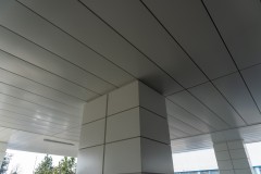 DSC09631