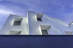 IMG_6059-Edit