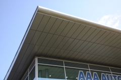 dsc-0015