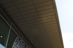 dsc-0016