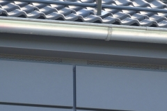 dsc08161