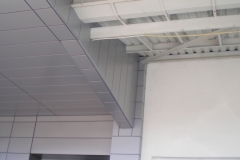 p3030003