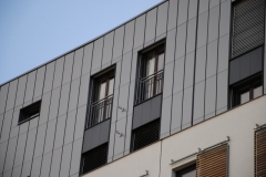 dsc-0981