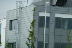 p1230314