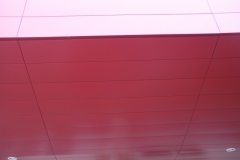 p5300038