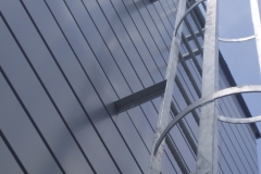 p7010038